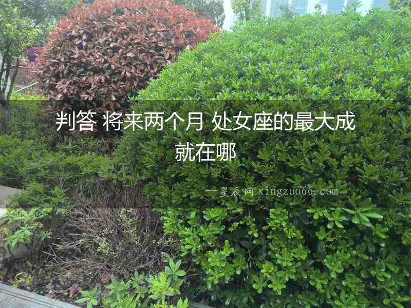 判答 將來兩個月 處女座的最大成就在哪
