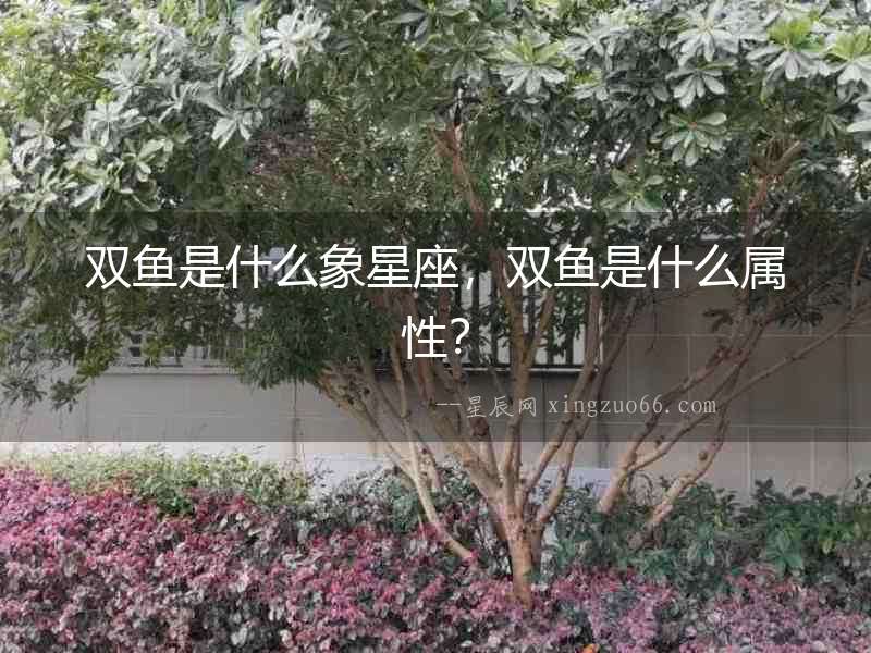 雙魚是什么象星座，雙魚是什么屬性？