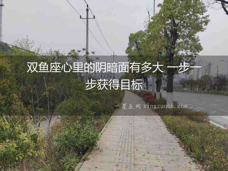 雙魚座心里的陰暗面有多大 一步一步獲得目標(biāo)