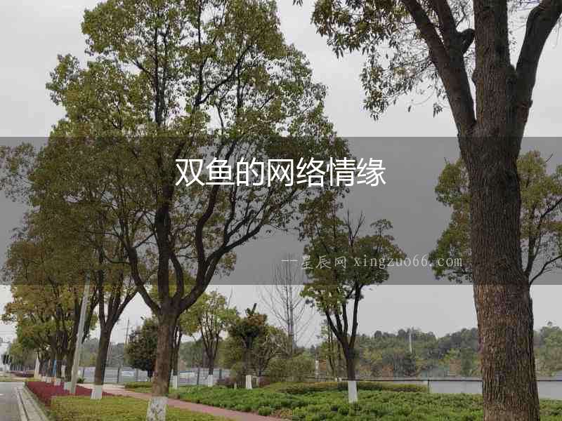 雙魚的網絡情緣