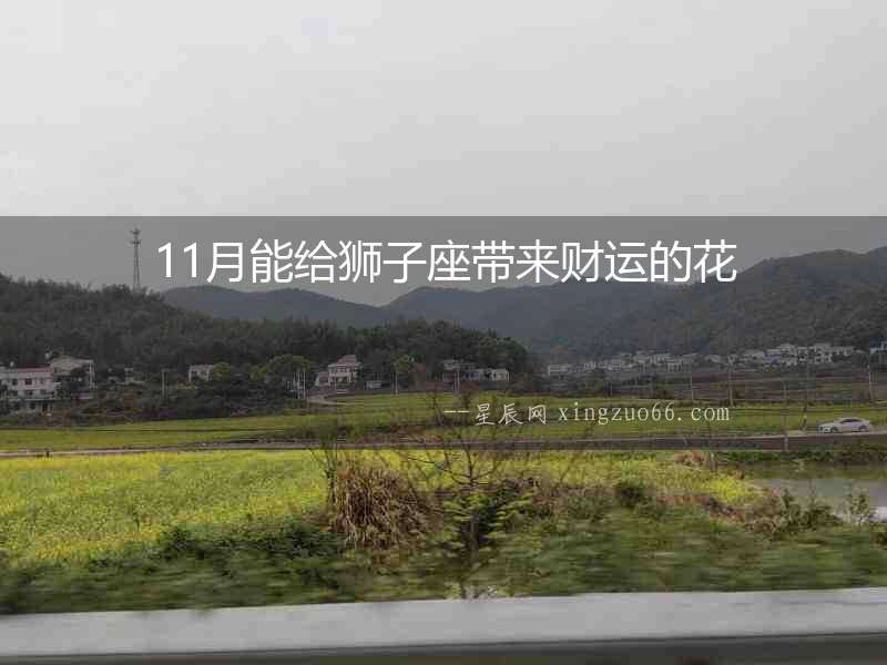 11月能給獅子座帶來財運的花