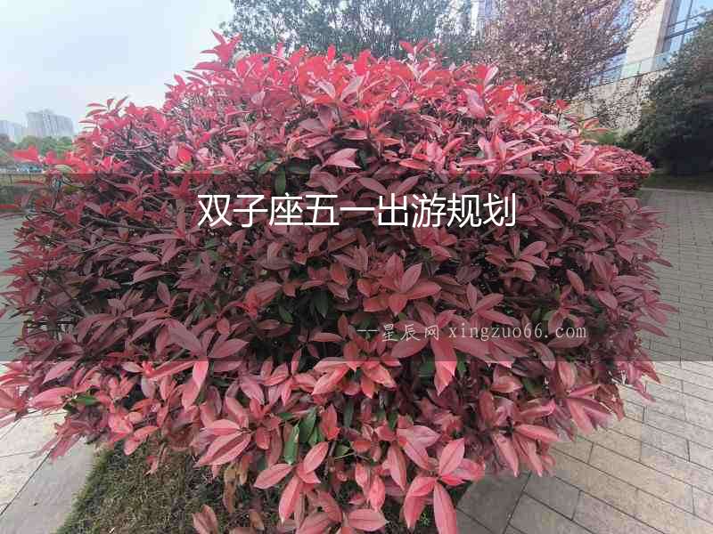 雙子座五一出游規劃