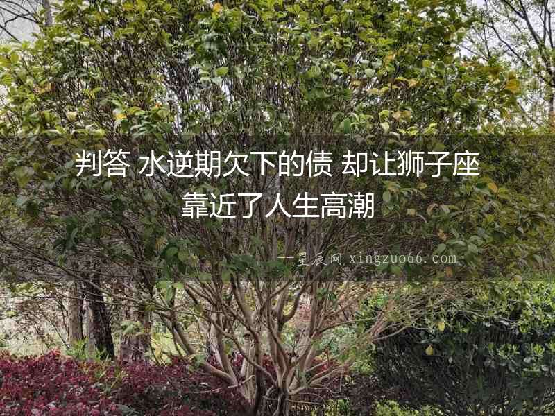 判答 水逆期欠下的債 卻讓獅子座靠近了人生高潮