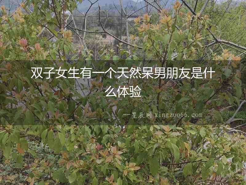 雙子女生有一個天然呆男朋友是什么體驗