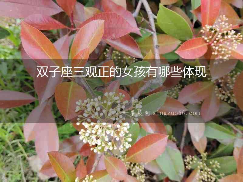 雙子座三觀正的女孩有哪些體現