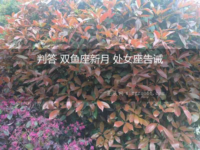 判答 雙魚座新月 處女座告誡