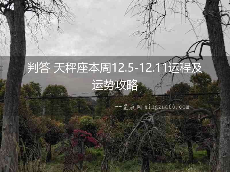 判答 天秤座本周12.5-12.11運程及運勢攻略