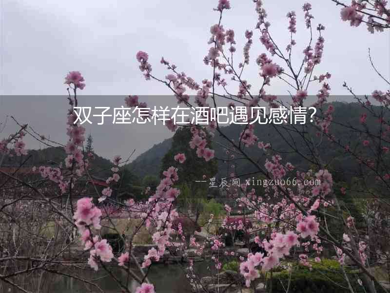 雙子座怎樣在酒吧遇見感情？