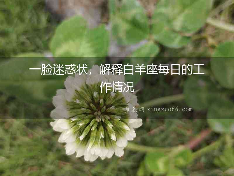 一臉迷惑狀，解釋白羊座每日的工作情況
