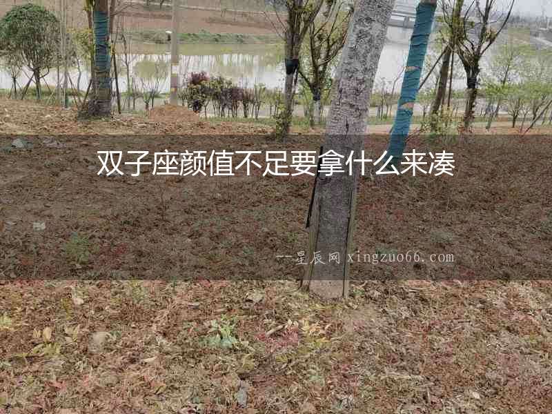雙子座顏值不足要拿什么來湊
