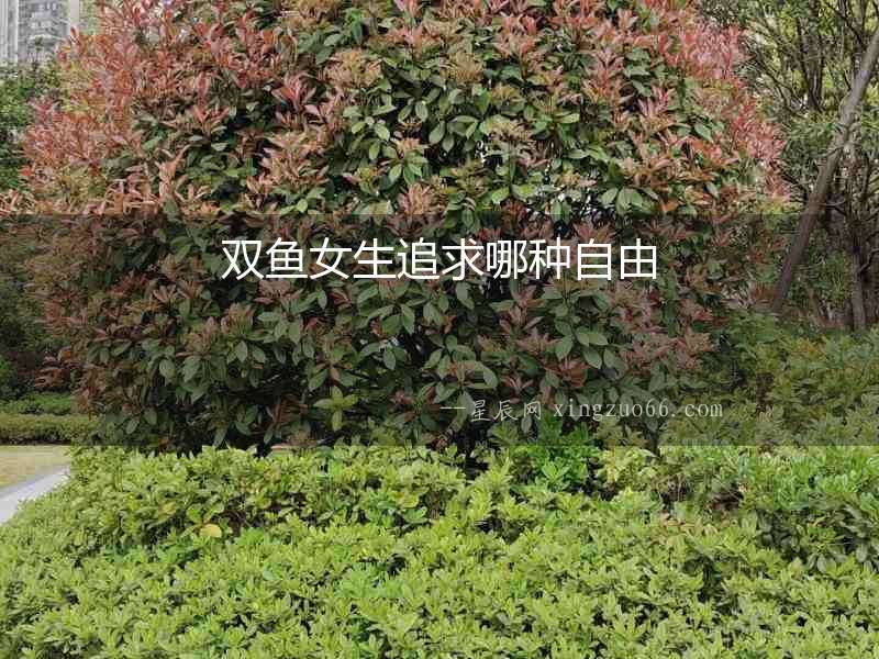 雙魚女生追求哪種自由