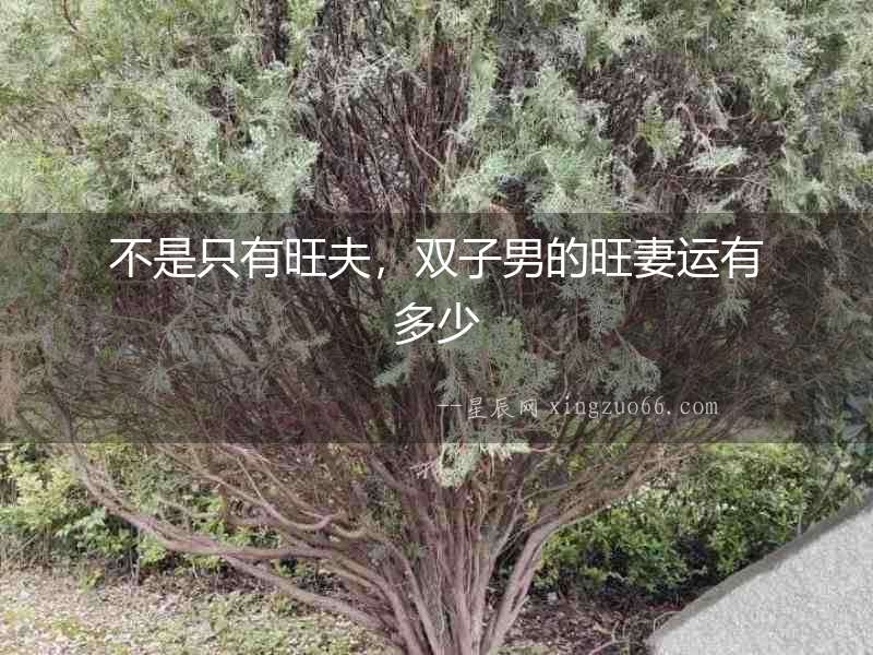 不是只有旺夫，雙子男的旺妻運有多少