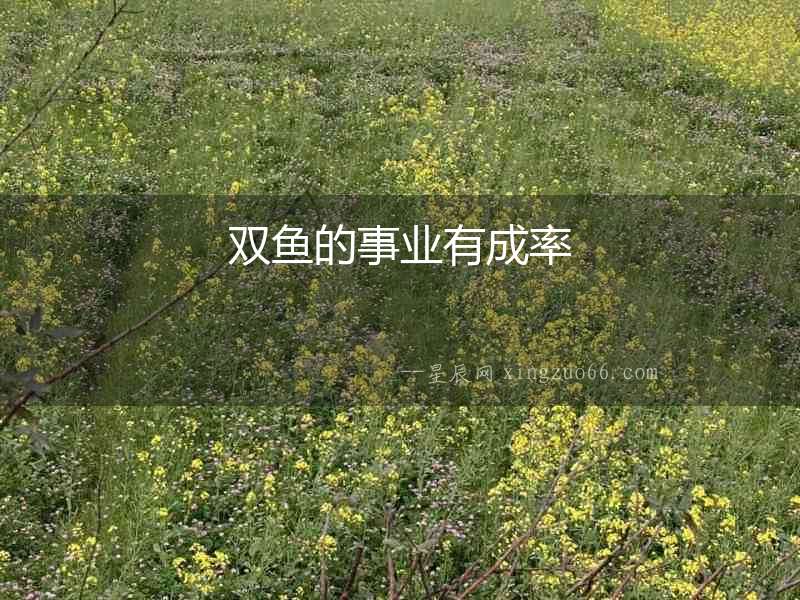 雙魚的事業(yè)有成率