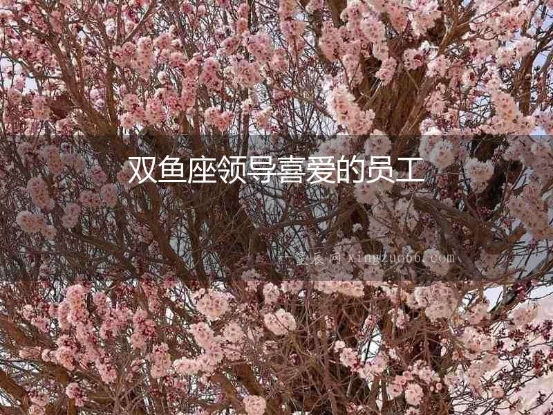 雙魚座領導喜愛的員工
