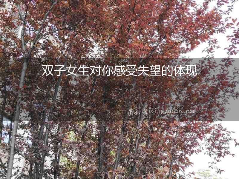 雙子女生對你感受失望的體現