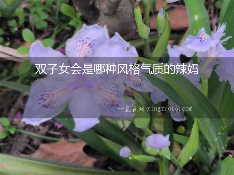 雙子女會是哪種風(fēng)格氣質(zhì)的辣媽