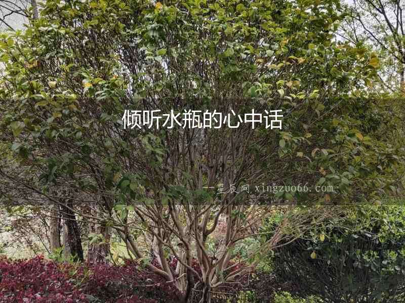 傾聽(tīng)水瓶的心中話