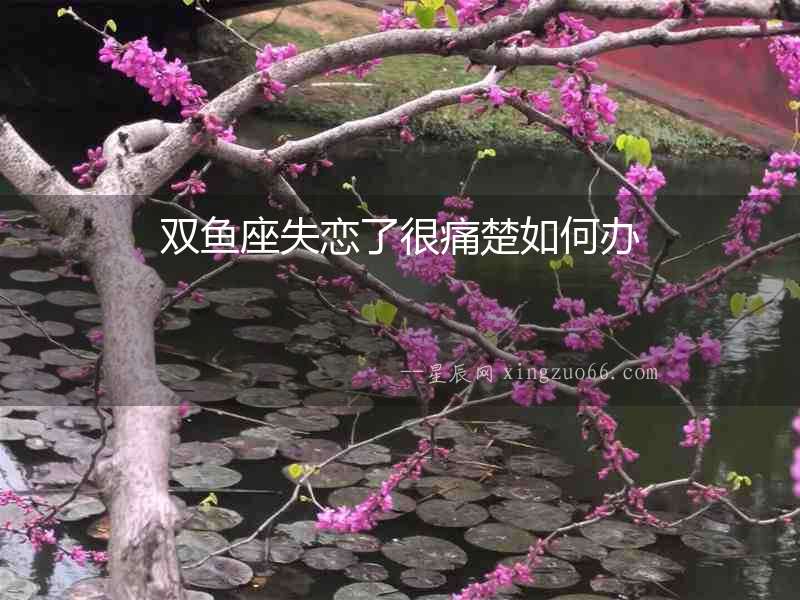 雙魚座失戀了很痛楚如何辦