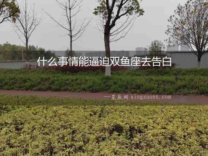 什么事情能逼迫雙魚座去告白