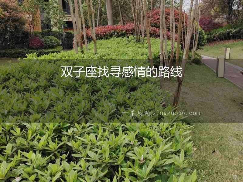 雙子座找尋感情的路線