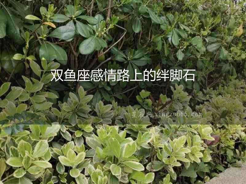 雙魚座感情路上的絆腳石