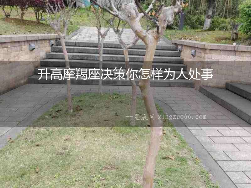 升高摩羯座決策你怎樣為人處事