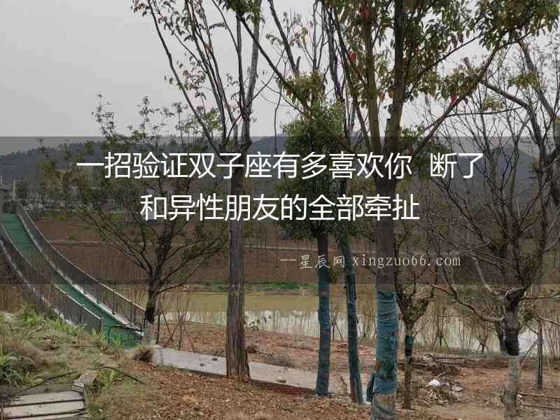 一招驗證雙子座有多喜歡你  斷了和異性朋友的全部牽扯