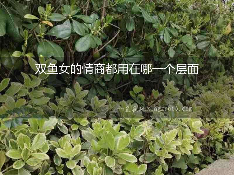 雙魚女的情商都用在哪一個層面