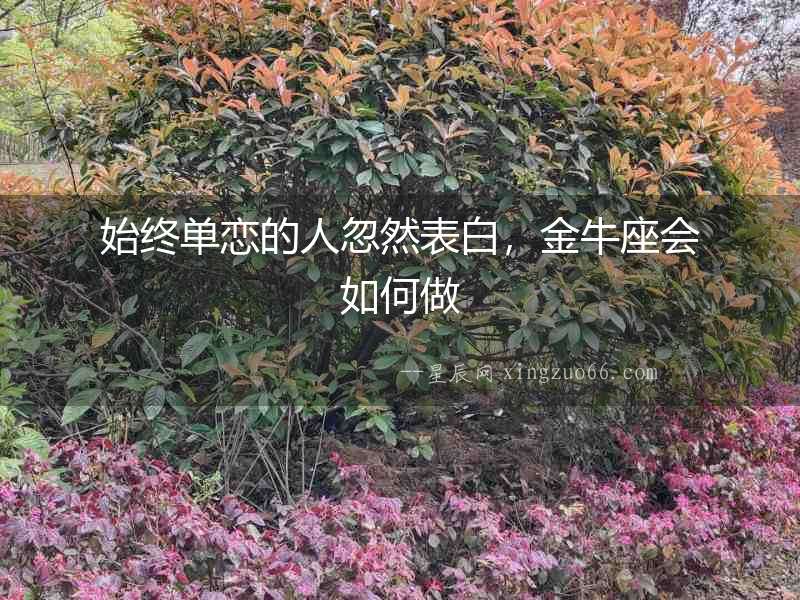 始終單戀的人忽然表白，金牛座會如何做