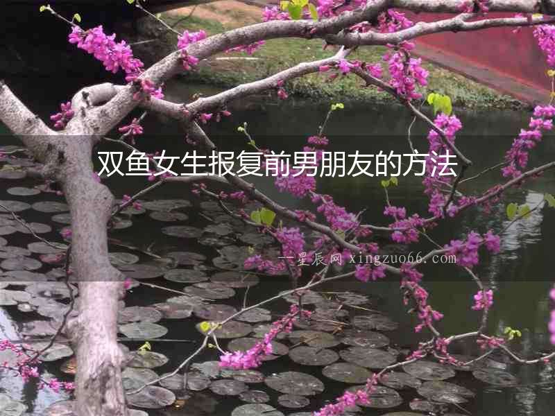雙魚(yú)女生報(bào)復(fù)前男朋友的方法