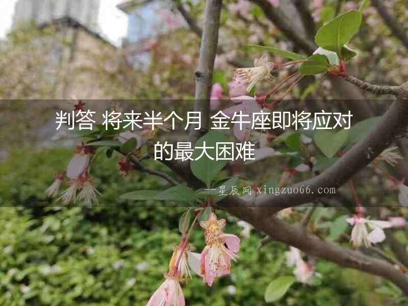 判答 將來半個月 金牛座即將應(yīng)對的最大困難