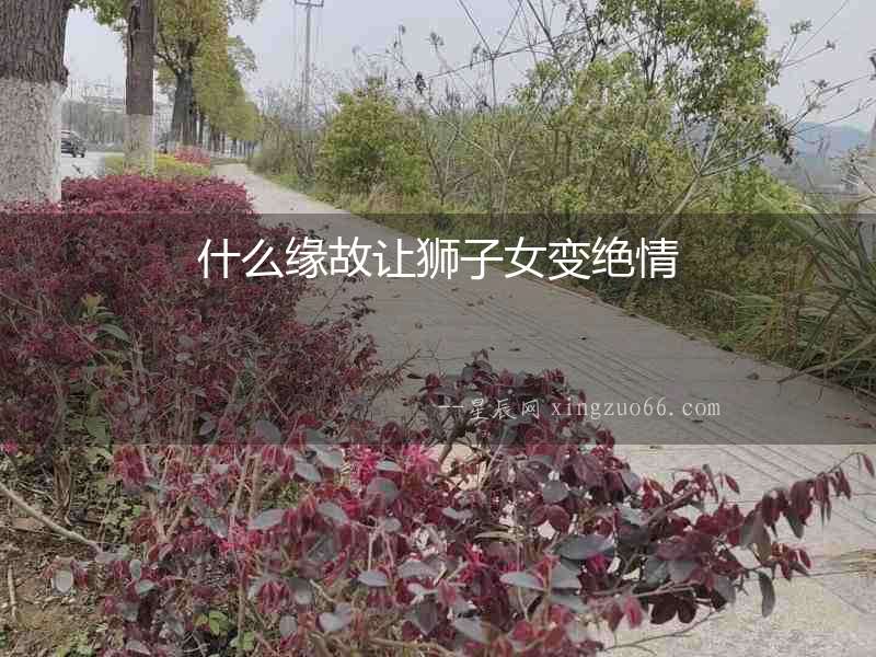什么緣故讓獅子女變絕情