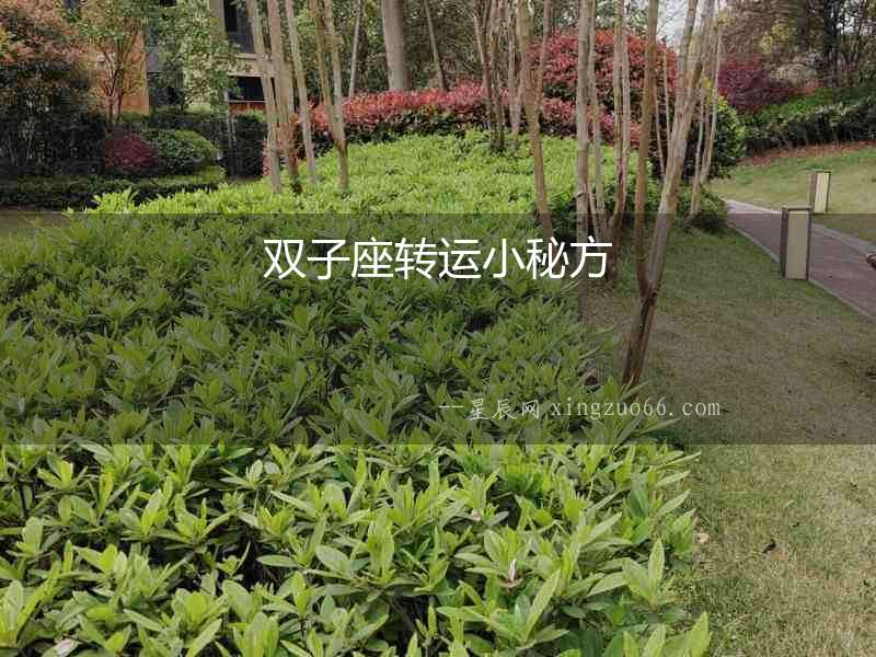 雙子座轉運小秘方