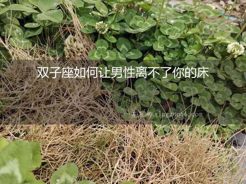 雙子座如何讓男性離不了你的床