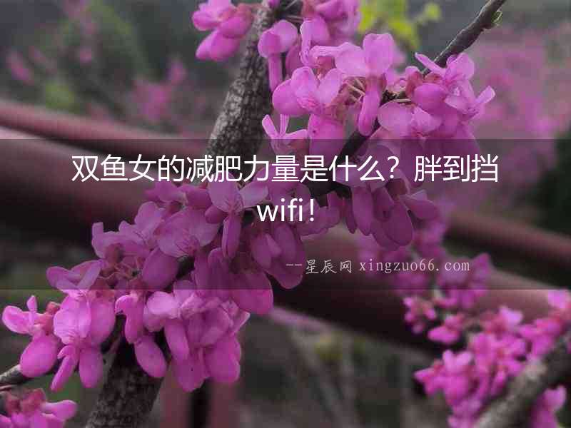 雙魚女的減肥力量是什么？胖到擋wifi！