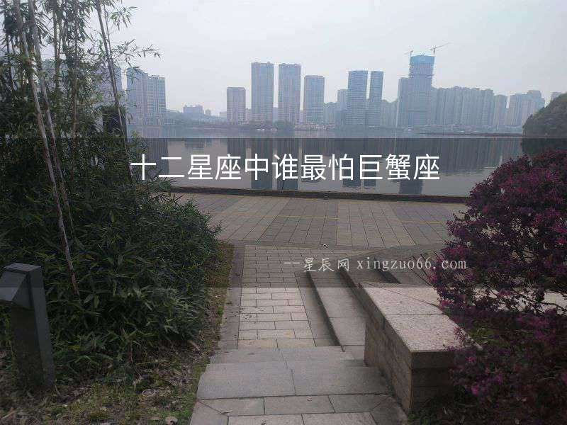 十二星座中誰最怕巨蟹座