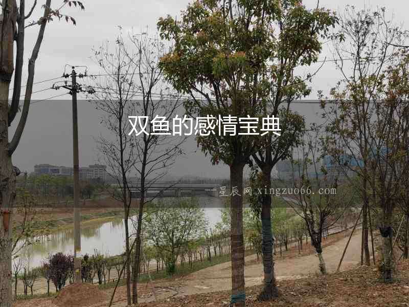 雙魚的感情寶典