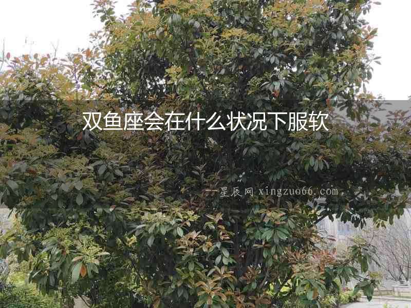 雙魚座會在什么狀況下服軟