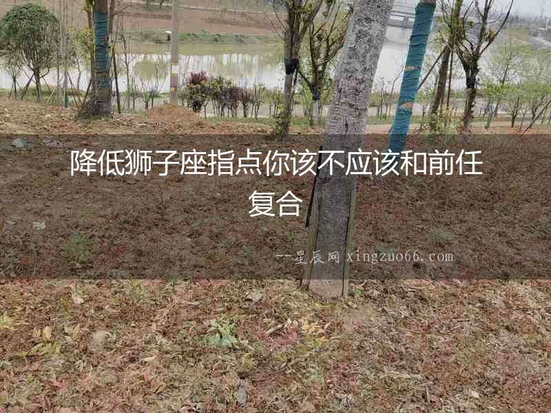 降低獅子座指點你該不應該和前任復合