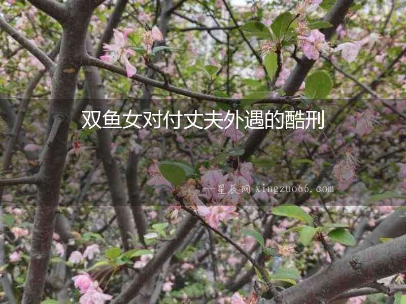 雙魚女對付丈夫外遇的酷刑
