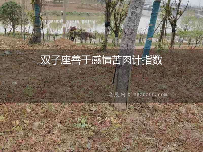 雙子座善于感情苦肉計(jì)指數(shù)