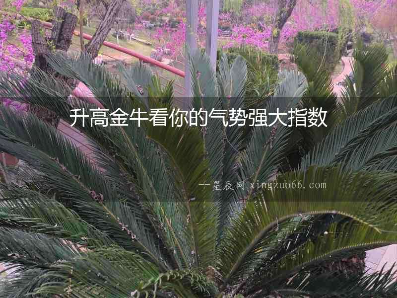 升高金牛看你的氣勢強大指數