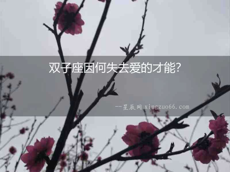 雙子座因何失去愛的才能？