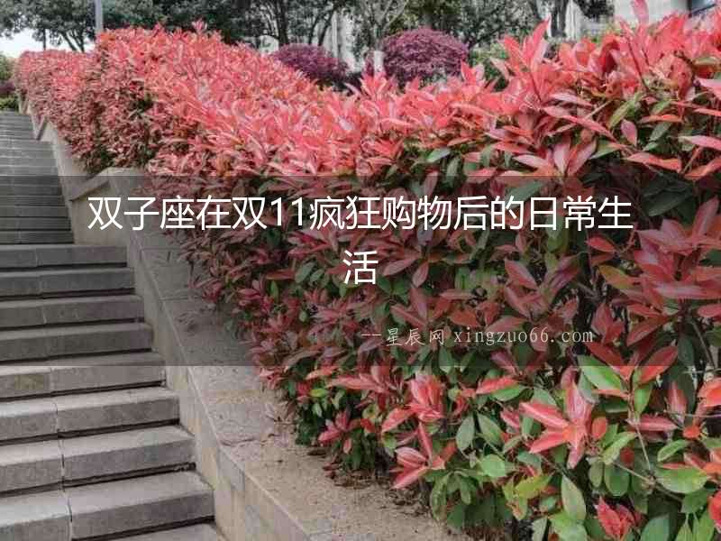 雙子座在雙11瘋狂購物后的日常生活