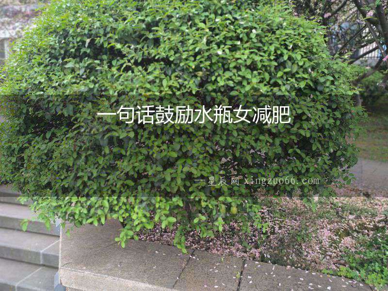 一句話鼓勵水瓶女減肥