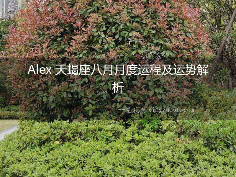 Alex 天蝎座八月月度運(yùn)程及運(yùn)勢(shì)解析