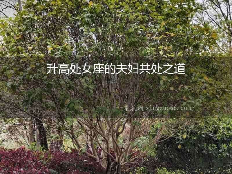 升高處女座的夫婦共處之道