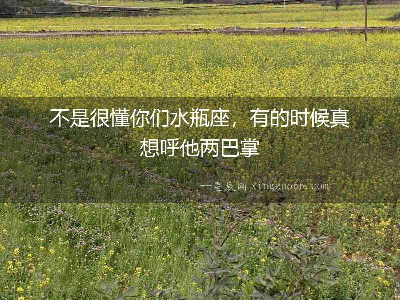 不是很懂你們水瓶座，有的時(shí)候真想呼他兩巴掌
