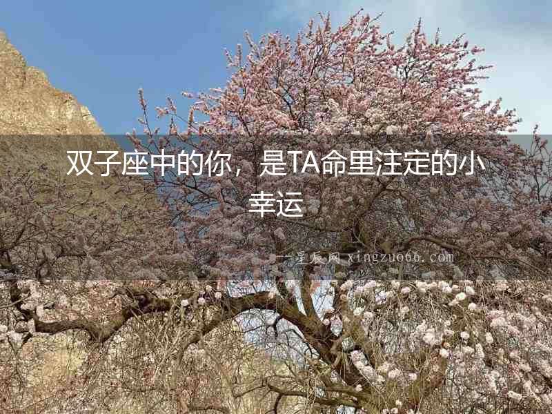 雙子座中的你，是TA命里注定的小幸運(yùn)