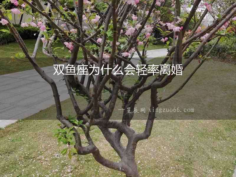 雙魚座為什么會輕率離婚